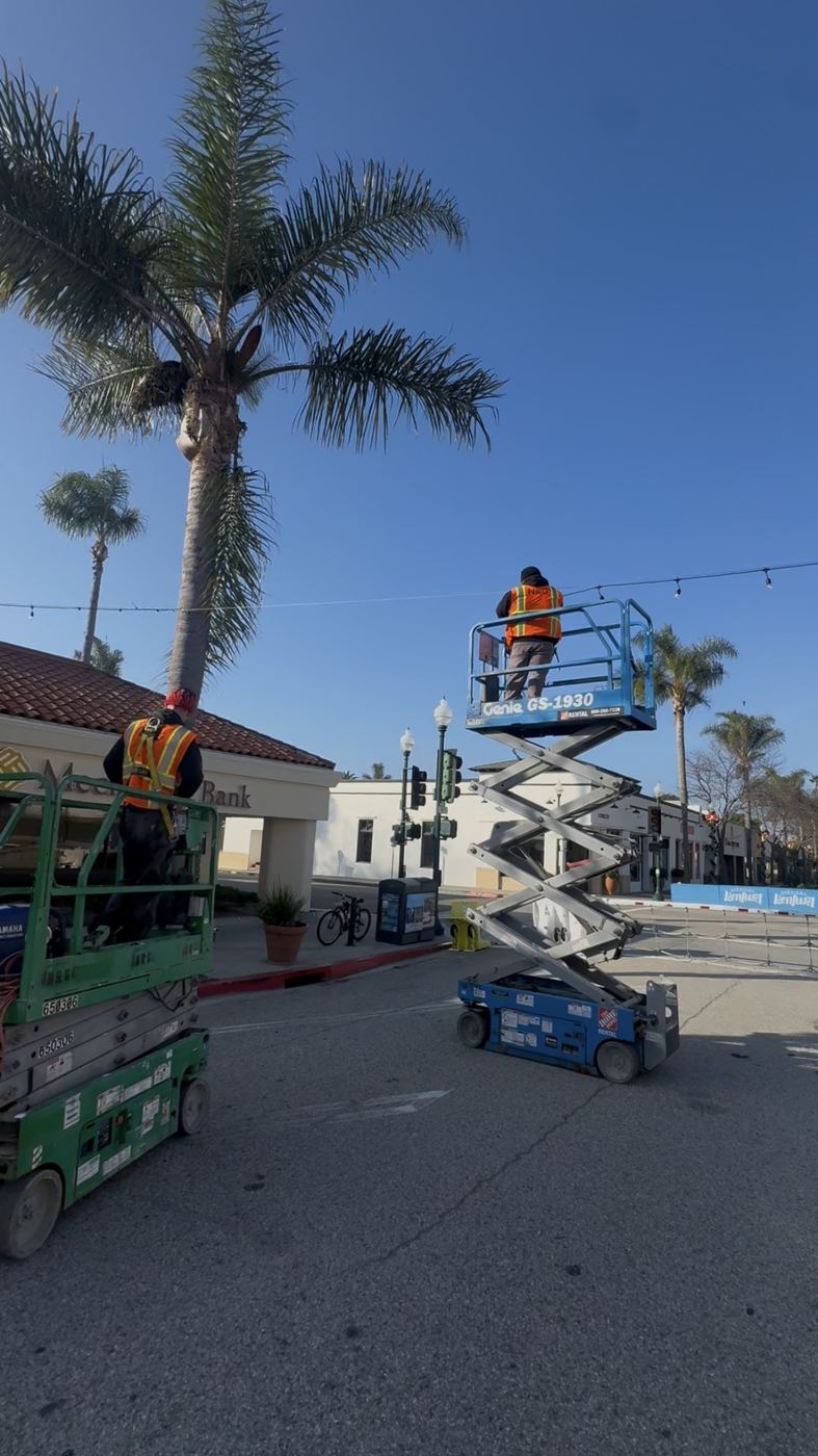 Scissor lifts stringing overhead lights on a downtown main street